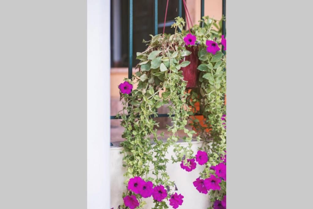Spiti Maria Apartment Valanio Exterior photo